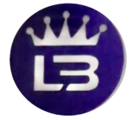 MS-GUNA-CONSTRUCTION-Logo